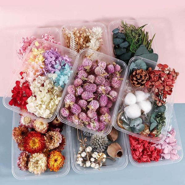 real dried flower dry plants for wedding party home decorations diy handicrafts aromatherapy candle living room o qyluxz
real dried flower dry plants for wedding party home decorations diy handicrafts aromatherapy candle living room o qyluxz