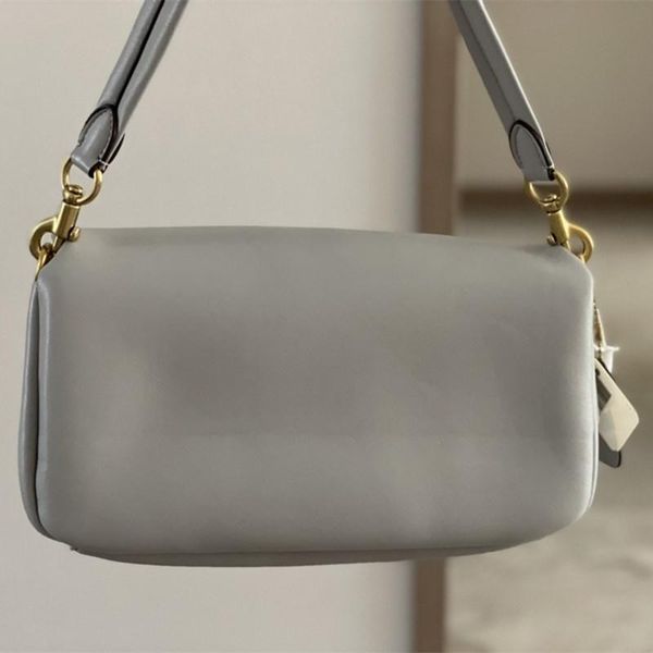 evening bags 100% calfskin handbag 2021 fashion solid color one-shoulder diagonal bag designer purses cc
evening bags 100% calfskin handbag 2021 fashion solid color one-shoulder diagonal bag designer purses cc