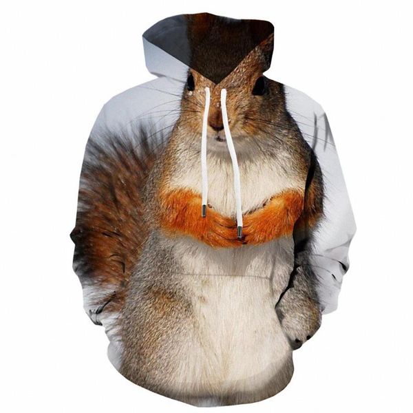 men's hoodies & sweatshirts 3d squirrel hoodie men animal hoody anime cute print snow hooded casual mens clothing streetwear autumn fas, Black
men's hoodies & sweatshirts 3d squirrel hoodie men animal hoody anime cute print snow hooded casual mens clothing streetwear autumn fas, Black