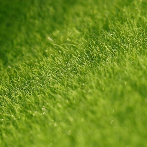 decorative flowers & wreaths 4/8/12pcs pvc artificial grass mat fake lawn miniature fairy home garden ornament craft decor 15*15cm diy micro
decorative flowers & wreaths 4/8/12pcs pvc artificial grass mat fake lawn miniature fairy home garden ornament craft decor 15*15cm diy micro