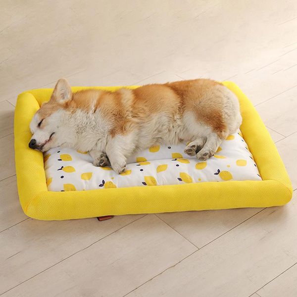 kennels & pens summer cooling pet dog mat ice silk pad puppy breathable sleeping cushion cat cool cold bed for small medium large dogs cats
kennels & pens summer cooling pet dog mat ice silk pad puppy breathable sleeping cushion cat cool cold bed for small medium large dogs cats