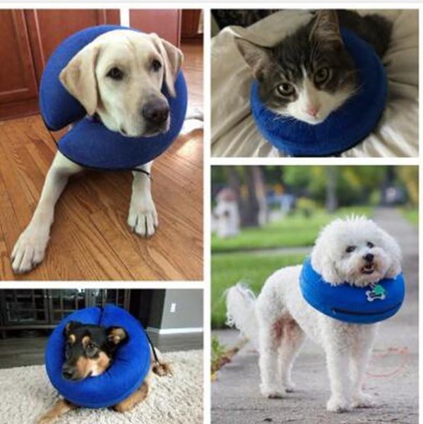 inflatable anti bark elizabethan collar cats healing for neck inflatable dog collar pet swimming wound protection for dogs
inflatable anti bark elizabethan collar cats healing for neck inflatable dog collar pet swimming wound protection for dogs