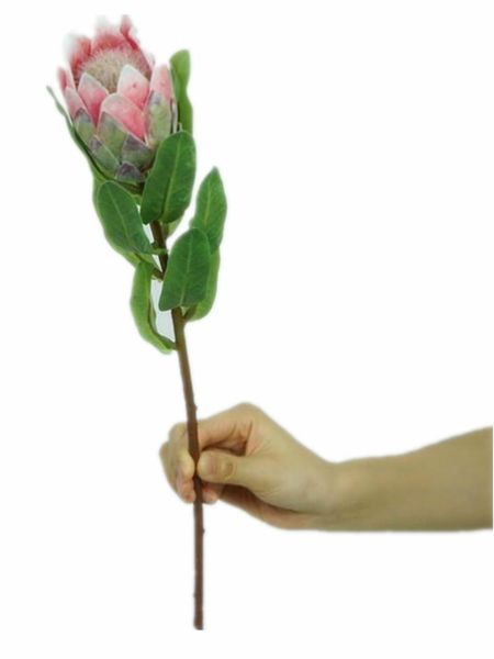 decorative flowers & wreaths one faux protea cynaroides flower stem simulation putia fower for wedding centerpieces home artificial
decorative flowers & wreaths one faux protea cynaroides flower stem simulation putia fower for wedding centerpieces home artificial