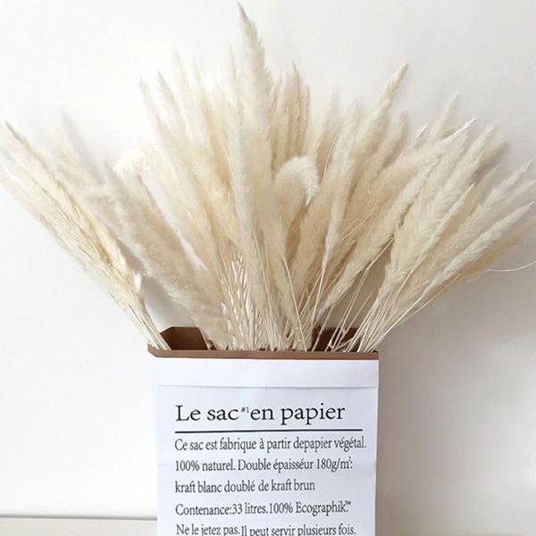 bulrush natural dried small pampas grass phragmites artificial plants wedding reed dry flower bunch for home decor fake flowers
bulrush natural dried small pampas grass phragmites artificial plants wedding reed dry flower bunch for home decor fake flowers
