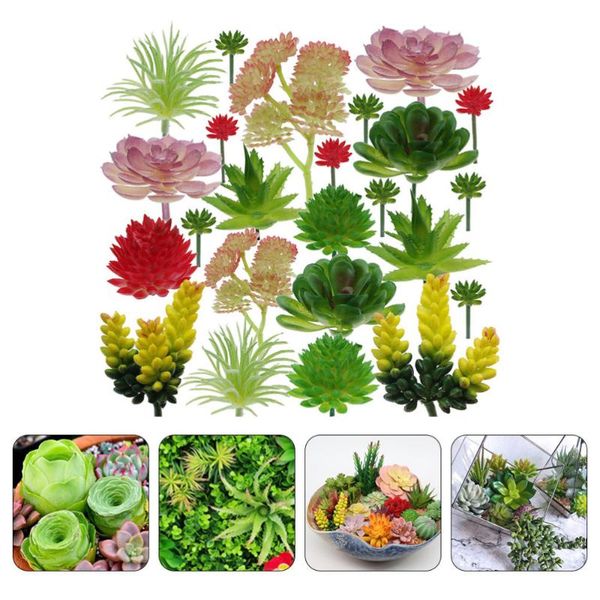 decorative flowers & wreaths 24pcs simulated succulents plant wall adornments artificial
decorative flowers & wreaths 24pcs simulated succulents plant wall adornments artificial