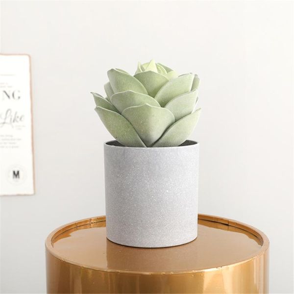 decorative flowers & wreaths artificial succulent flower home office fake plant decoration eva floral decor
decorative flowers & wreaths artificial succulent flower home office fake plant decoration eva floral decor