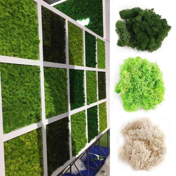 20g immortal natural moss norwegian reindeer garden plant landscape flower multi-color dried wedding eternal gr craft artif k1p1
20g immortal natural moss norwegian reindeer garden plant landscape flower multi-color dried wedding eternal gr craft artif k1p1