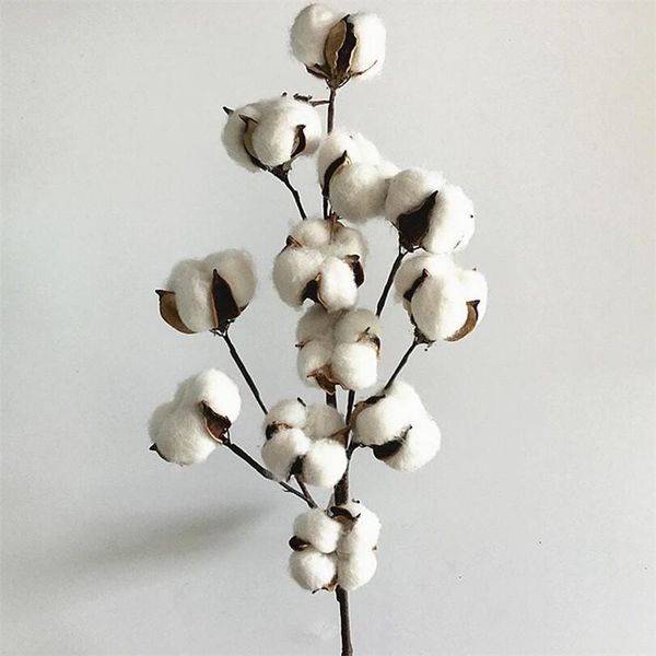 flone dried flower cotton branch 12 head cotton long branch simulation tree home wedding decor artificial flowers
flone dried flower cotton branch 12 head cotton long branch simulation tree home wedding decor artificial flowers