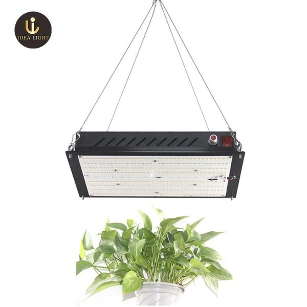 growing lamps 1000w led grow light ac85-265v full spectrum plant lighting idea grow for plants flowers seedling cultivation
growing lamps 1000w led grow light ac85-265v full spectrum plant lighting idea grow for plants flowers seedling cultivation