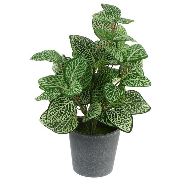 1pc mini simulation potted plant ornament fake potted bonsai decoration for home
1pc mini simulation potted plant ornament fake potted bonsai decoration for home