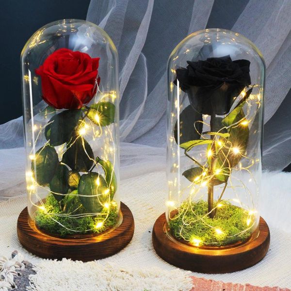 dried flowers preserved roses in glass cover with night light ornaments wedding valentine day christmas new year home decor gift
dried flowers preserved roses in glass cover with night light ornaments wedding valentine day christmas new year home decor gift