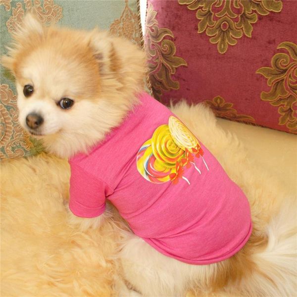 dog apparel yorkshire terrier honden kleren dogs shirts clothes summer pomeranian tshirt chihuahua
dog apparel yorkshire terrier honden kleren dogs shirts clothes summer pomeranian tshirt chihuahua