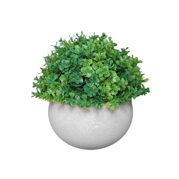 decorative flowers & wreaths artificial potted grass ball simulation plant decor home office table decoration
decorative flowers & wreaths artificial potted grass ball simulation plant decor home office table decoration