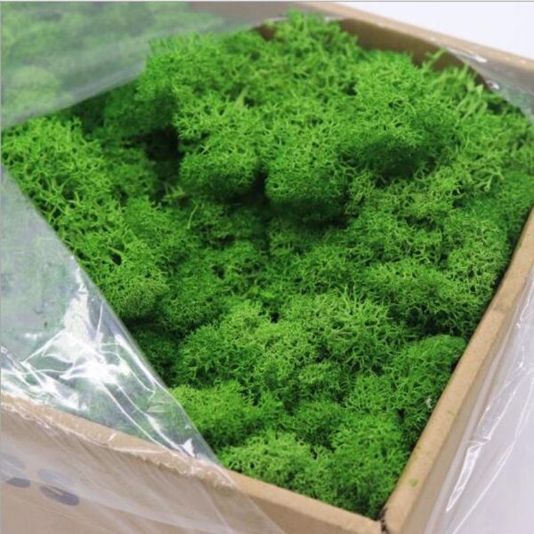 decorative flowers & wreaths 20g multicolor artificial moss grass fake flower plant decoration home living room diy garden decor accessories
decorative flowers & wreaths 20g multicolor artificial moss grass fake flower plant decoration home living room diy garden decor accessories