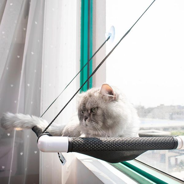 summer cat nest stock hanging cat bed suction cup hanging nest breathable pet hammock
summer cat nest stock hanging cat bed suction cup hanging nest breathable pet hammock