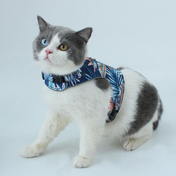 cat collars & leads chest harness vest-style reflective anti-break away walk rope breathable pet
cat collars & leads chest harness vest-style reflective anti-break away walk rope breathable pet
