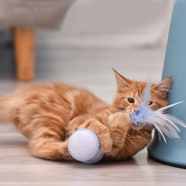 cat toys pet funny toy smart electric balance car usb charging and storage feather stick
cat toys pet funny toy smart electric balance car usb charging and storage feather stick