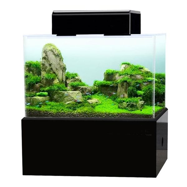 mini aquarium fish tank dry wet separated bottom filter pump box tropical small fish tank with heating rod led light
mini aquarium fish tank dry wet separated bottom filter pump box tropical small fish tank with heating rod led light