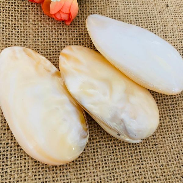 novelty items natural shell conch pearl and mussel river polishing jewelry crafts decoration
novelty items natural shell conch pearl and mussel river polishing jewelry crafts decoration