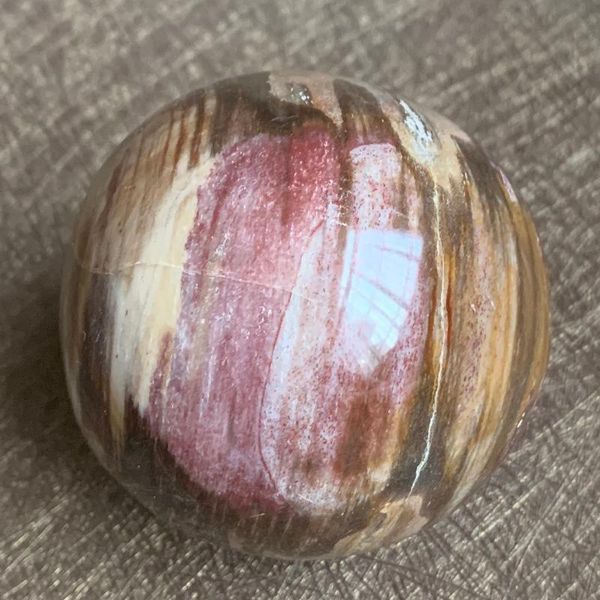 novelty items 215g natural petrified wood ball fossil polished sphere specimen home decoration b015
novelty items 215g natural petrified wood ball fossil polished sphere specimen home decoration b015