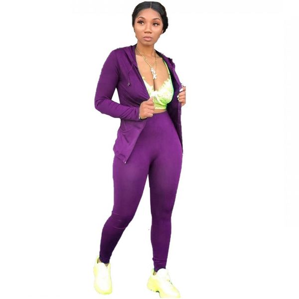 new fall of women's zipper with hood jacket and waist high waistband thin pants casual fashion set solid two pieces 8c09, Gray
new fall of women's zipper with hood jacket and waist high waistband thin pants casual fashion set solid two pieces 8c09, Gray