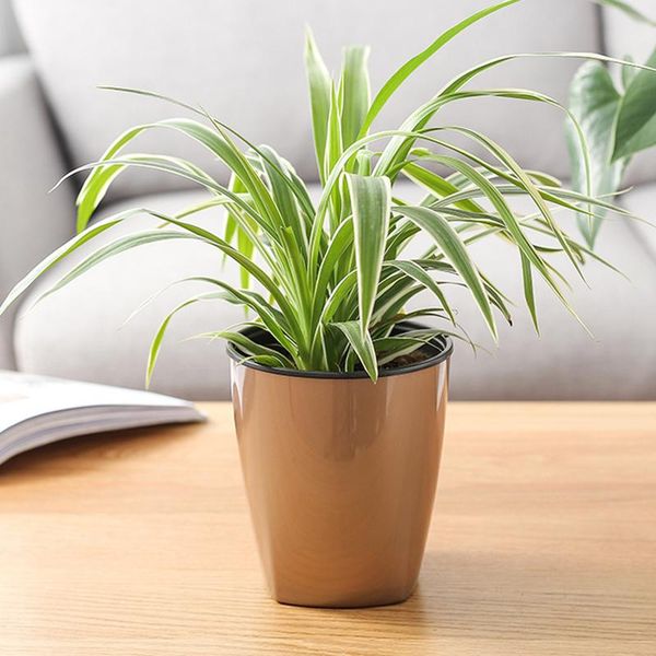 planters & pots lazy flower pot automatic water absorption plant hydroponic for home garden drop
planters & pots lazy flower pot automatic water absorption plant hydroponic for home garden drop