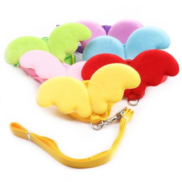 dog collars & leashes pet set cute angel puppy leads for small dogs cats designer wing adjustable harness accessories
dog collars & leashes pet set cute angel puppy leads for small dogs cats designer wing adjustable harness accessories