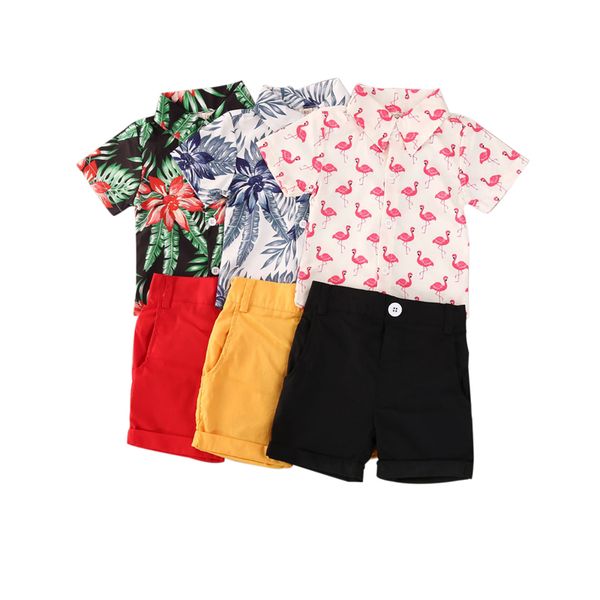 1-5y summer toddler baby boys clothes sets floral short sleeve shirts +solid shorts 2pcs outfits, White
1-5y summer toddler baby boys clothes sets floral short sleeve shirts +solid shorts 2pcs outfits, White
