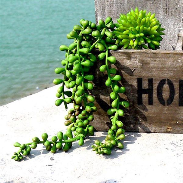 decorative flowers & wreaths artificial plant string green beads chains hanging of pearls fake succulent for home
decorative flowers & wreaths artificial plant string green beads chains hanging of pearls fake succulent for home
