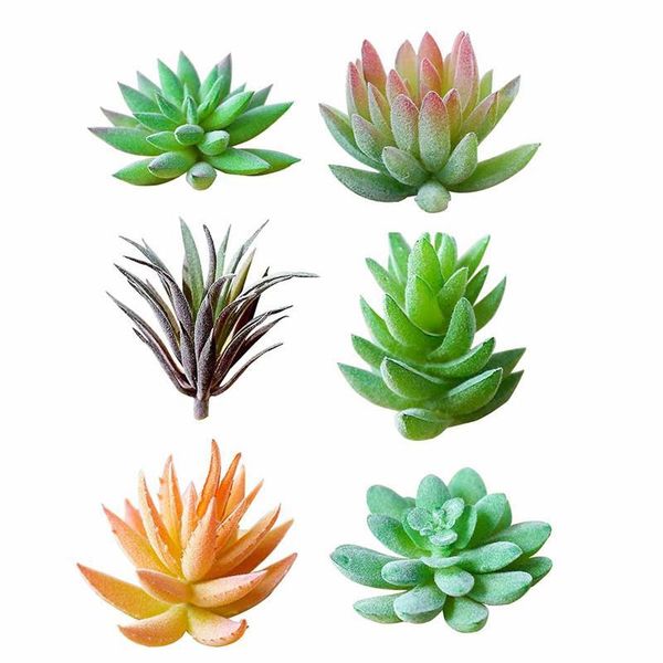 decorative flowers & wreaths green flocking artificial succulents plants fake succulent plant for home garden wedding party decoration flowe
decorative flowers & wreaths green flocking artificial succulents plants fake succulent plant for home garden wedding party decoration flowe