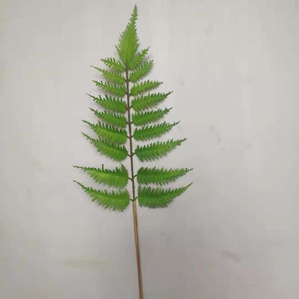 decorative flowers & wreaths simulation green fake leaf artificial tropical palm leaves diy plants home party wedding decoration supplies
decorative flowers & wreaths simulation green fake leaf artificial tropical palm leaves diy plants home party wedding decoration supplies