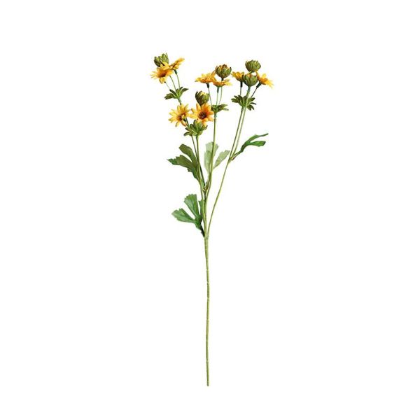 decorative flowers & wreaths artificial flower silk dasiy fake home decoration plastic floral bouquet
decorative flowers & wreaths artificial flower silk dasiy fake home decoration plastic floral bouquet