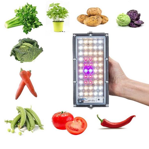 growing lamp led grow light panel waterproof 110v 220v with lanyard seedling 50w equivalent vegetation solar full lights
growing lamp led grow light panel waterproof 110v 220v with lanyard seedling 50w equivalent vegetation solar full lights