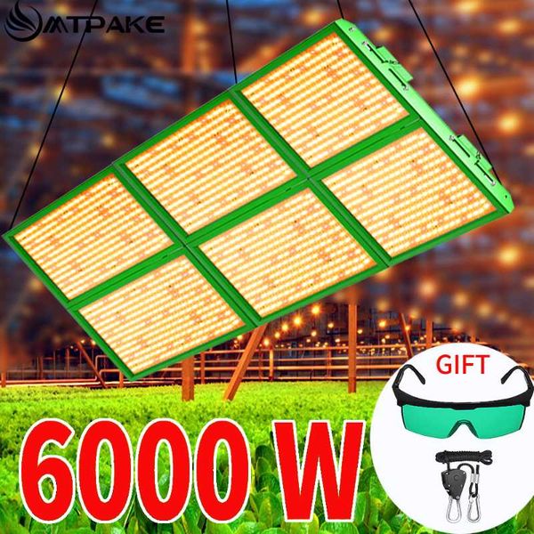 grow lights quantum board samsung 281b led light 2000w 4000w sunlike lamp full spectrum phyto forindoor gardening growth lighting
grow lights quantum board samsung 281b led light 2000w 4000w sunlike lamp full spectrum phyto forindoor gardening growth lighting