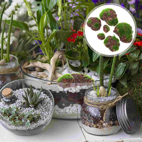 decorative flowers & wreaths 6pcs simulation mossy stones diy art crafts microlandschaft supplies for decor
decorative flowers & wreaths 6pcs simulation mossy stones diy art crafts microlandschaft supplies for decor