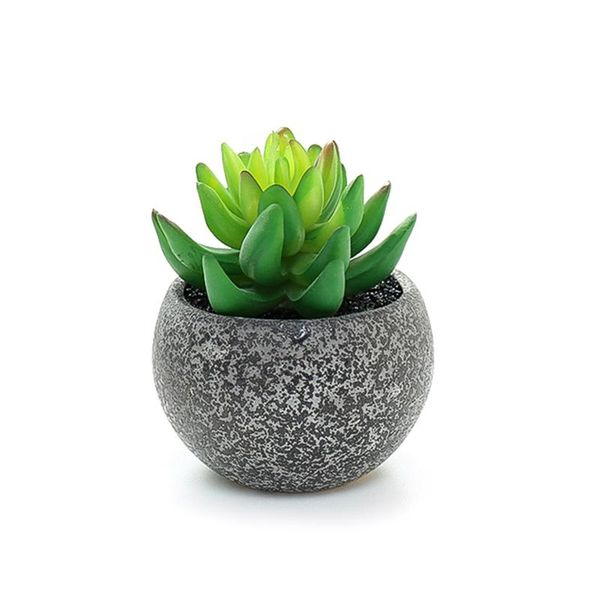 bonsai set fake flower vase simulation cacti artificial succulent plants realistic and natural decor pottery pot faux succulents
bonsai set fake flower vase simulation cacti artificial succulent plants realistic and natural decor pottery pot faux succulents