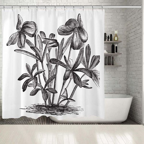 shower curtains curtain flower plant illustration birdsfoot violet countryside nature vintage theme artwork
shower curtains curtain flower plant illustration birdsfoot violet countryside nature vintage theme artwork