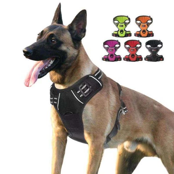 dog collars & leashes pet harness vest reflective adjustable breathable leash set for small medium dogs puppy collar cat chest strap
dog collars & leashes pet harness vest reflective adjustable breathable leash set for small medium dogs puppy collar cat chest strap