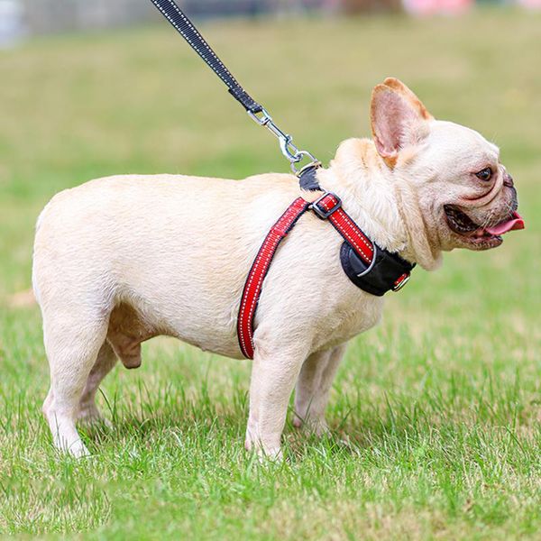 dog collars & leashes explosion-proof luminous chest harness has a reflective webbing nylon vest with d shape buckle for pet outdoor traveli
dog collars & leashes explosion-proof luminous chest harness has a reflective webbing nylon vest with d shape buckle for pet outdoor traveli