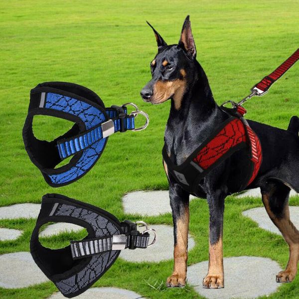 dog collars & leashes puppy pet premium harness adjustable no pull vest leash outdoor walking leads
dog collars & leashes puppy pet premium harness adjustable no pull vest leash outdoor walking leads