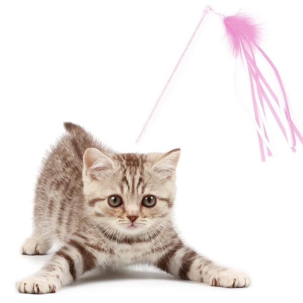 cat toys faux feather wand toy tassel kitten teaser interactive ribbon with bell pet training for cats
cat toys faux feather wand toy tassel kitten teaser interactive ribbon with bell pet training for cats