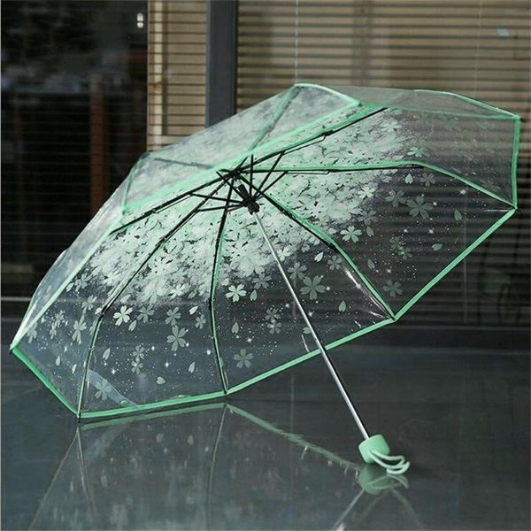 umbrellas transparent clear umbrella cherry blossom mushroom apollo sakura 3 fold field of vision cfws
umbrellas transparent clear umbrella cherry blossom mushroom apollo sakura 3 fold field of vision cfws