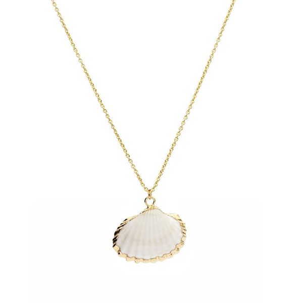 fuwo gold trimmed scallop necklace wholesale,natural white shell with brass chain jewelry gift nc503 10 pieces/lot, Silver
fuwo gold trimmed scallop necklace wholesale,natural white shell with brass chain jewelry gift nc503 10 pieces/lot, Silver