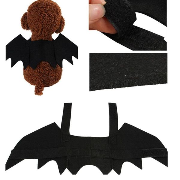 cat costumes 2021 halloween pet dog bat wings vampire black cute fancy dress up costume
cat costumes 2021 halloween pet dog bat wings vampire black cute fancy dress up costume