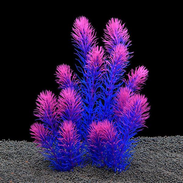 decorations aquarium simulation green water plants grass lifelike for fish tank wxv sale
decorations aquarium simulation green water plants grass lifelike for fish tank wxv sale