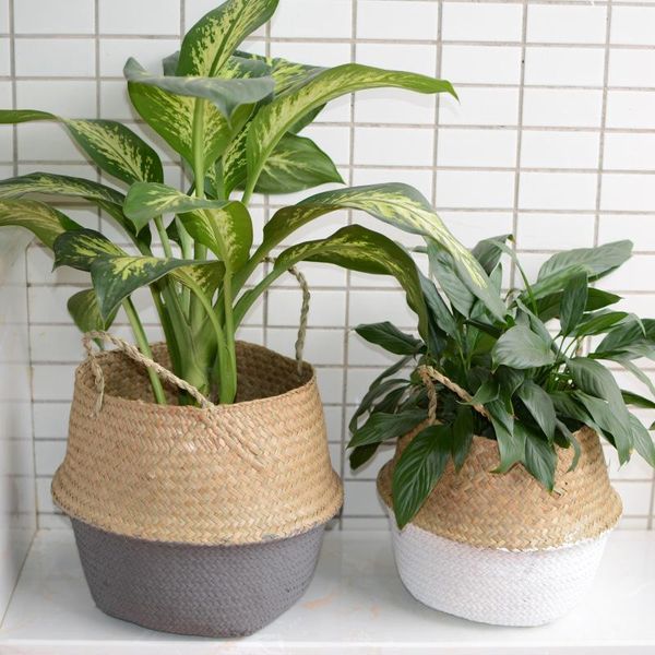 storage baskets seagrass folding handmade basket decorative rattan plant flower pot woven wicker belly laundry home decor
storage baskets seagrass folding handmade basket decorative rattan plant flower pot woven wicker belly laundry home decor