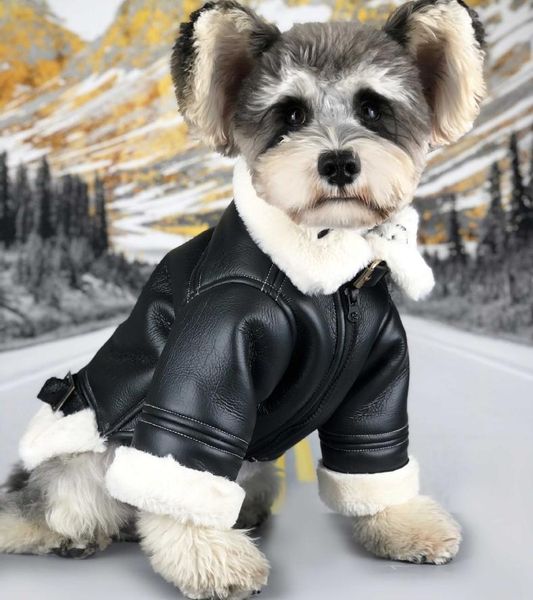 dog apparel super cool fur jacket pet winter clothes pu with luxury coat small clothing windproof warn
dog apparel super cool fur jacket pet winter clothes pu with luxury coat small clothing windproof warn
