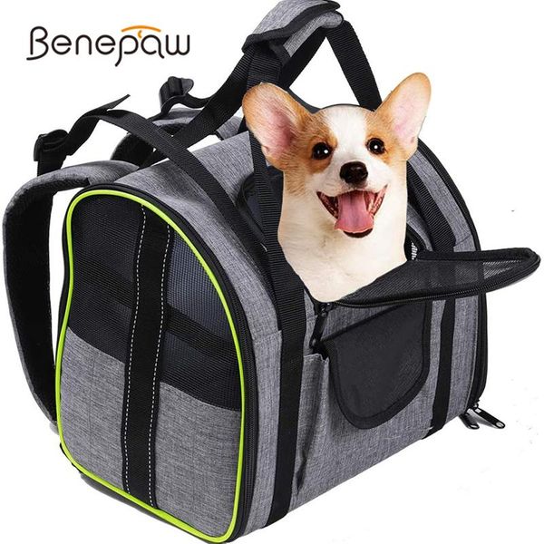 benepaw breathable dog carrier sturdy reflective foldable pet backpack lightweight travel puppy carrying bag security clip
benepaw breathable dog carrier sturdy reflective foldable pet backpack lightweight travel puppy carrying bag security clip