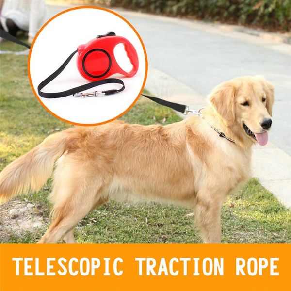 dog collars & leashes automatic retractable nylon walking leash lead for small and medium pets
dog collars & leashes automatic retractable nylon walking leash lead for small and medium pets