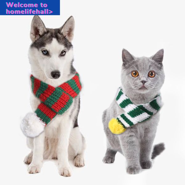 supplies clothes hooded clothing knitted christmas scarf creative vip teddy cat dog products
supplies clothes hooded clothing knitted christmas scarf creative vip teddy cat dog products